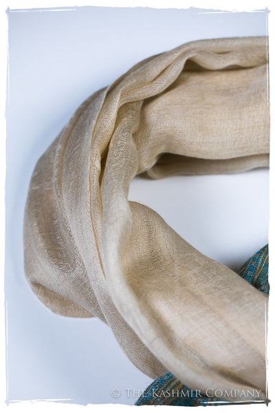 Tiziana Paisley Frontière Pashmina Cashmere Scarf