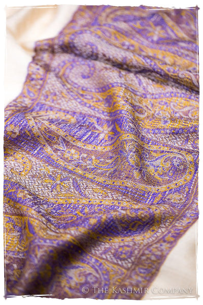 Tonina Paisley Frontière Pashmina Cashmere Scarf