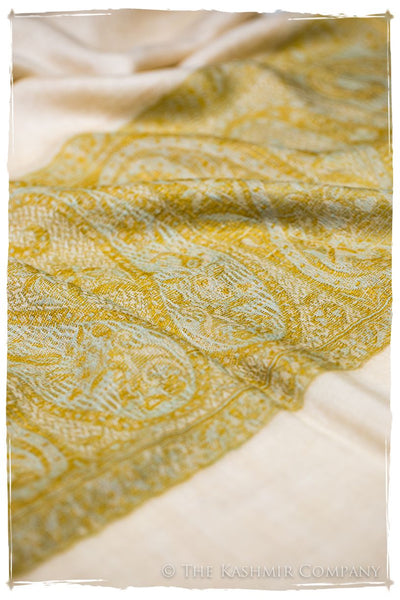 Zaynab Paisley Frontière Pashmina Cashmere Scarf