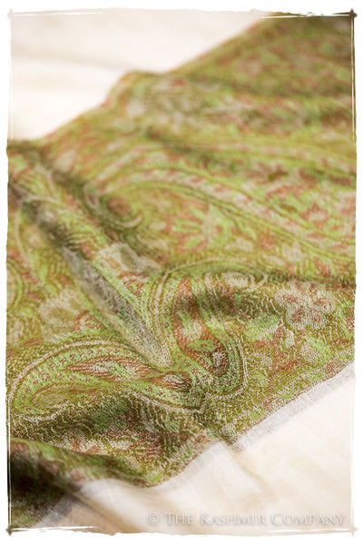 Nezha Paisley Frontière Pashmina Cashmere Scarf