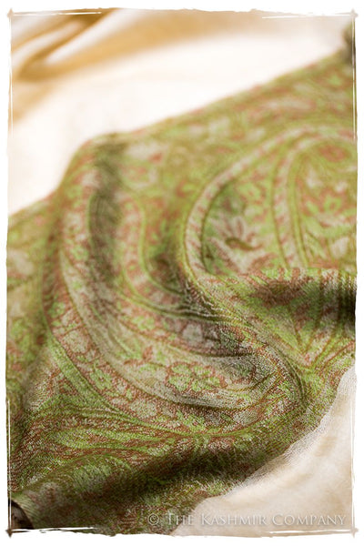 Nezha Paisley Frontière Pashmina Cashmere Scarf