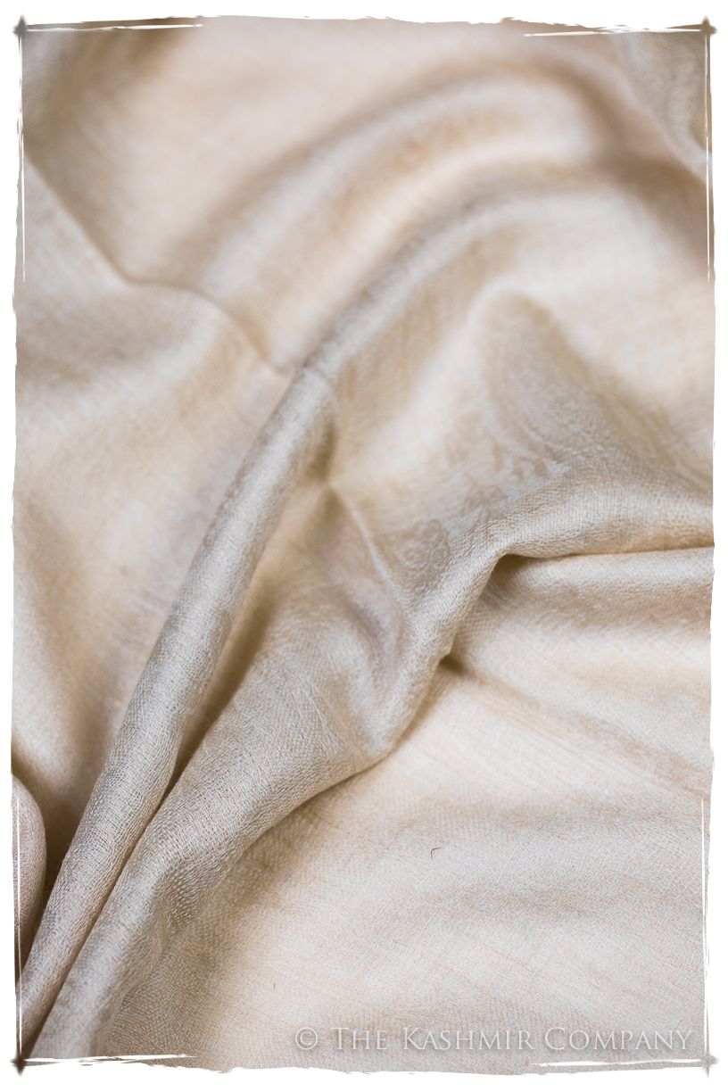 Maya Paisley Frontière Pashmina Cashmere Scarf
