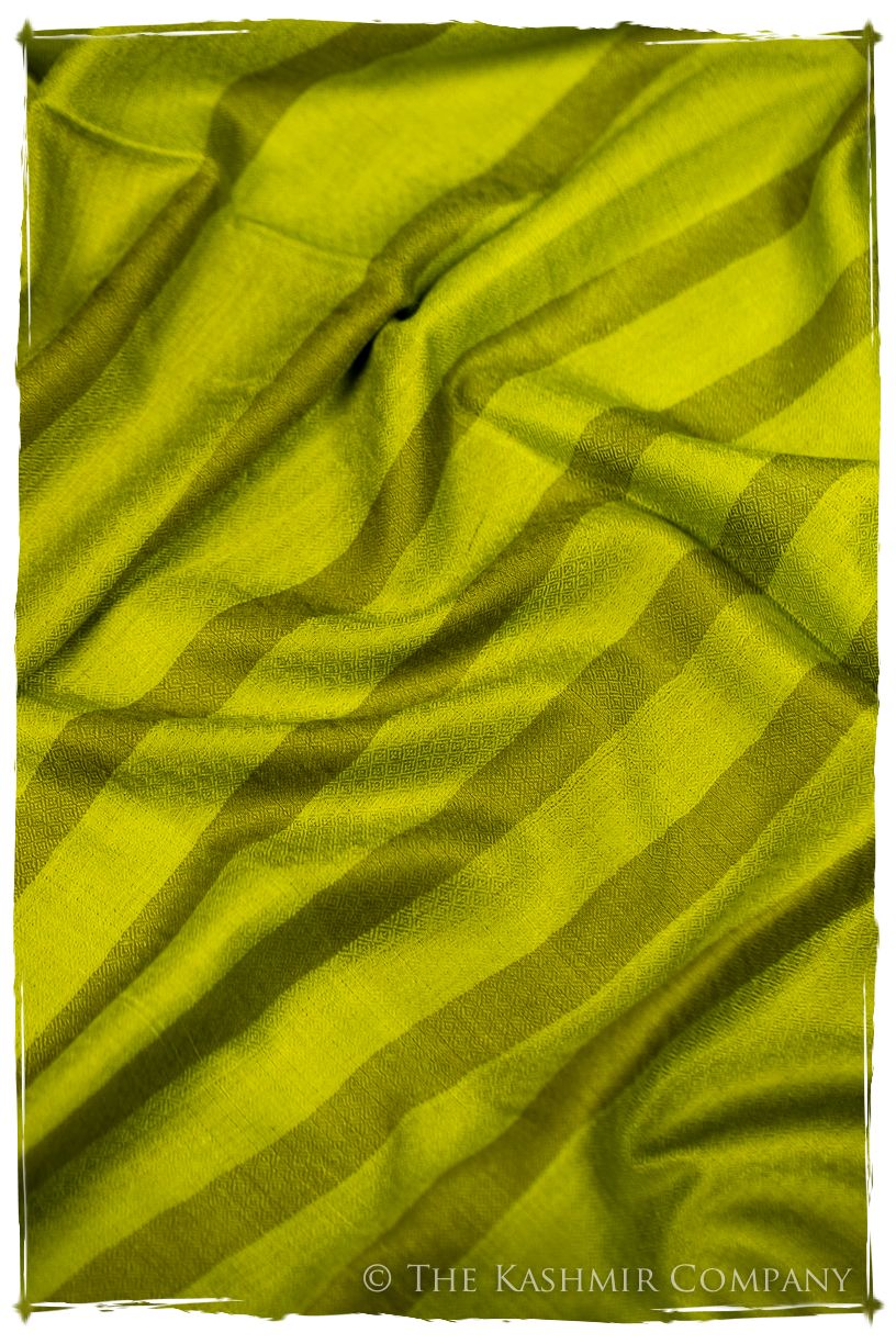The Hawick - Handloom Pashmina Cashmere Scarf