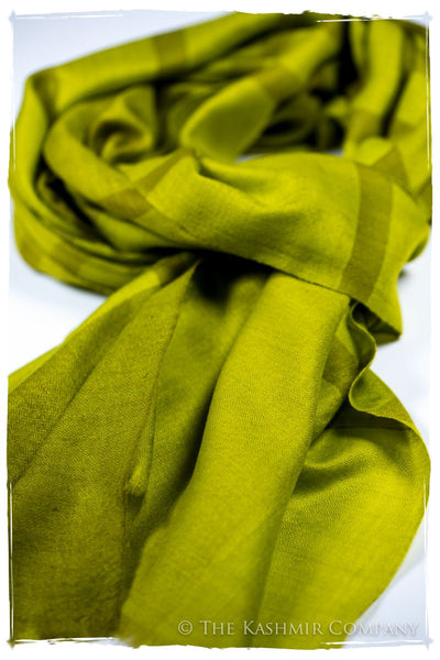 The Hawick - Handloom Pashmina Cashmere Scarf