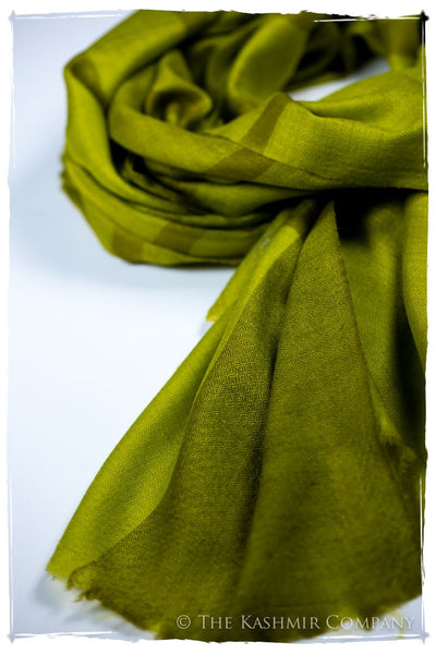 The Hawick - Handloom Pashmina Cashmere Scarf