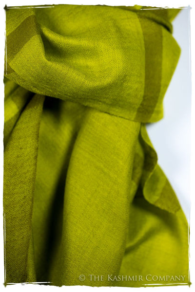 The Hawick - Handloom Pashmina Cashmere Scarf