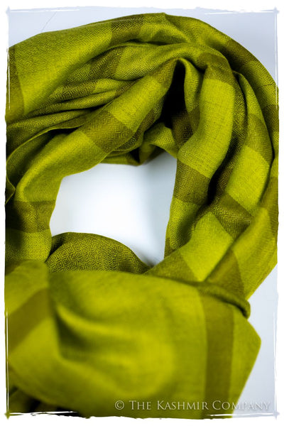 The Hawick - Handloom Pashmina Cashmere Scarf