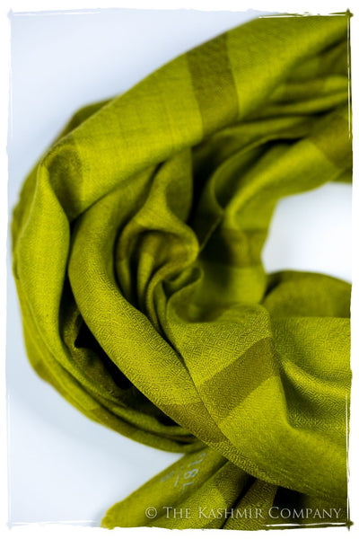 The Hawick - Handloom Pashmina Cashmere Scarf