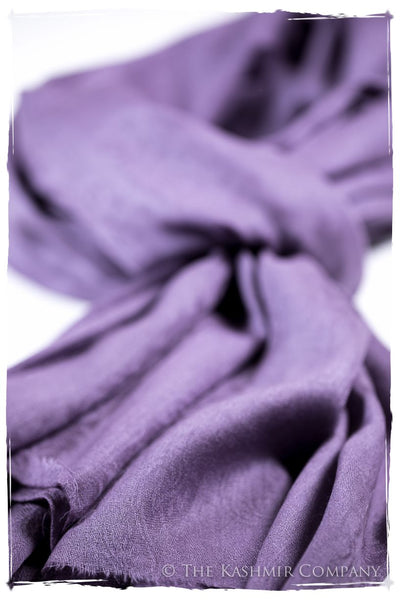 Orchid Mist Paisley Kashmir Wool Scarf