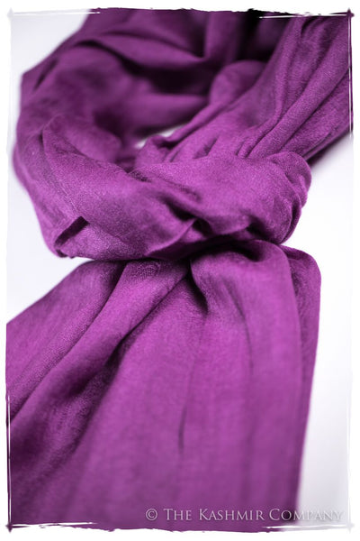 Purple Wine Paisley Kashmir Wool Scarf