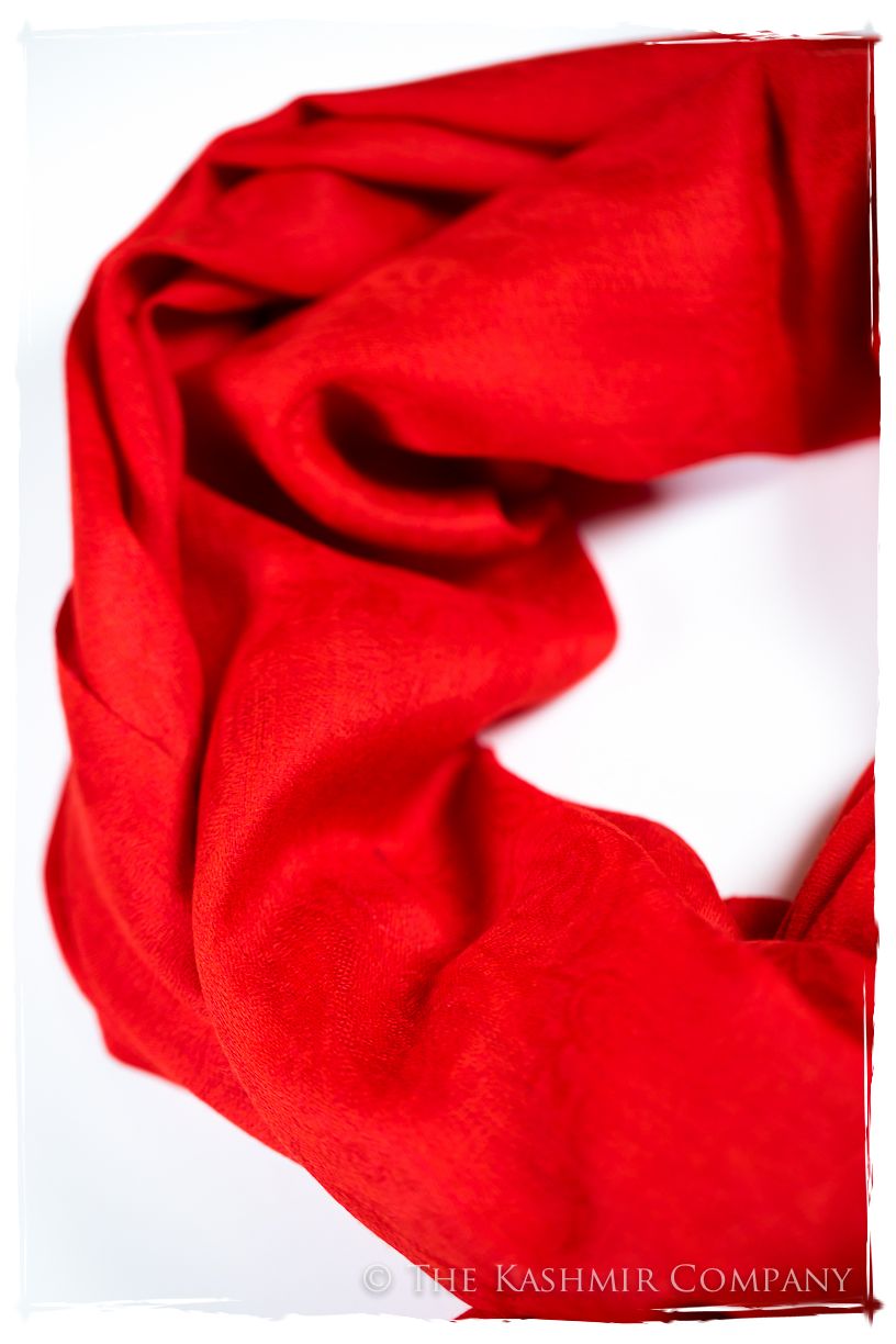 Bittersweet Paisley Kashmir Wool Scarf