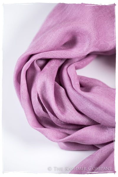 Lilac Chiffon Paisley Kashmir Wool Scarf