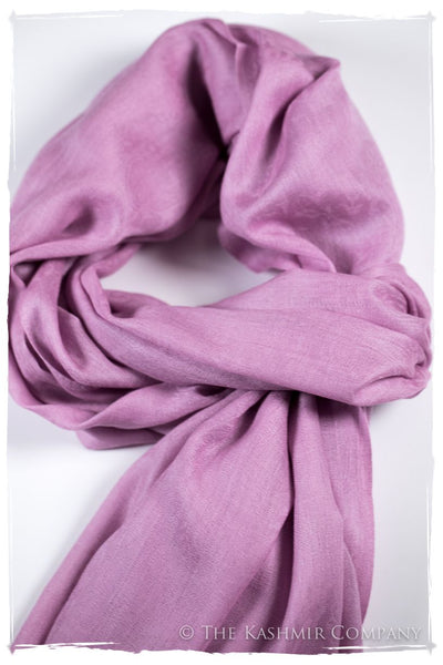 Lilac Chiffon Paisley Kashmir Wool Scarf