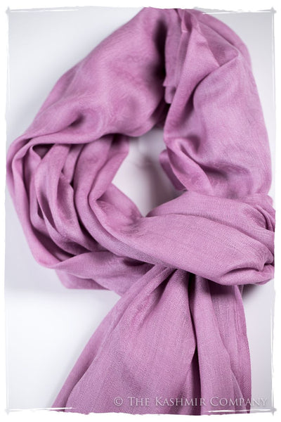 Lilac Chiffon Paisley Kashmir Wool Scarf