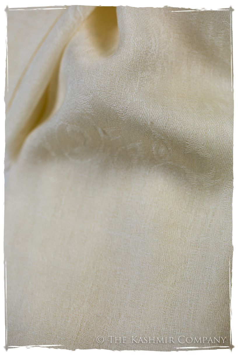 Afterglow Paisley Kashmir Wool Scarf