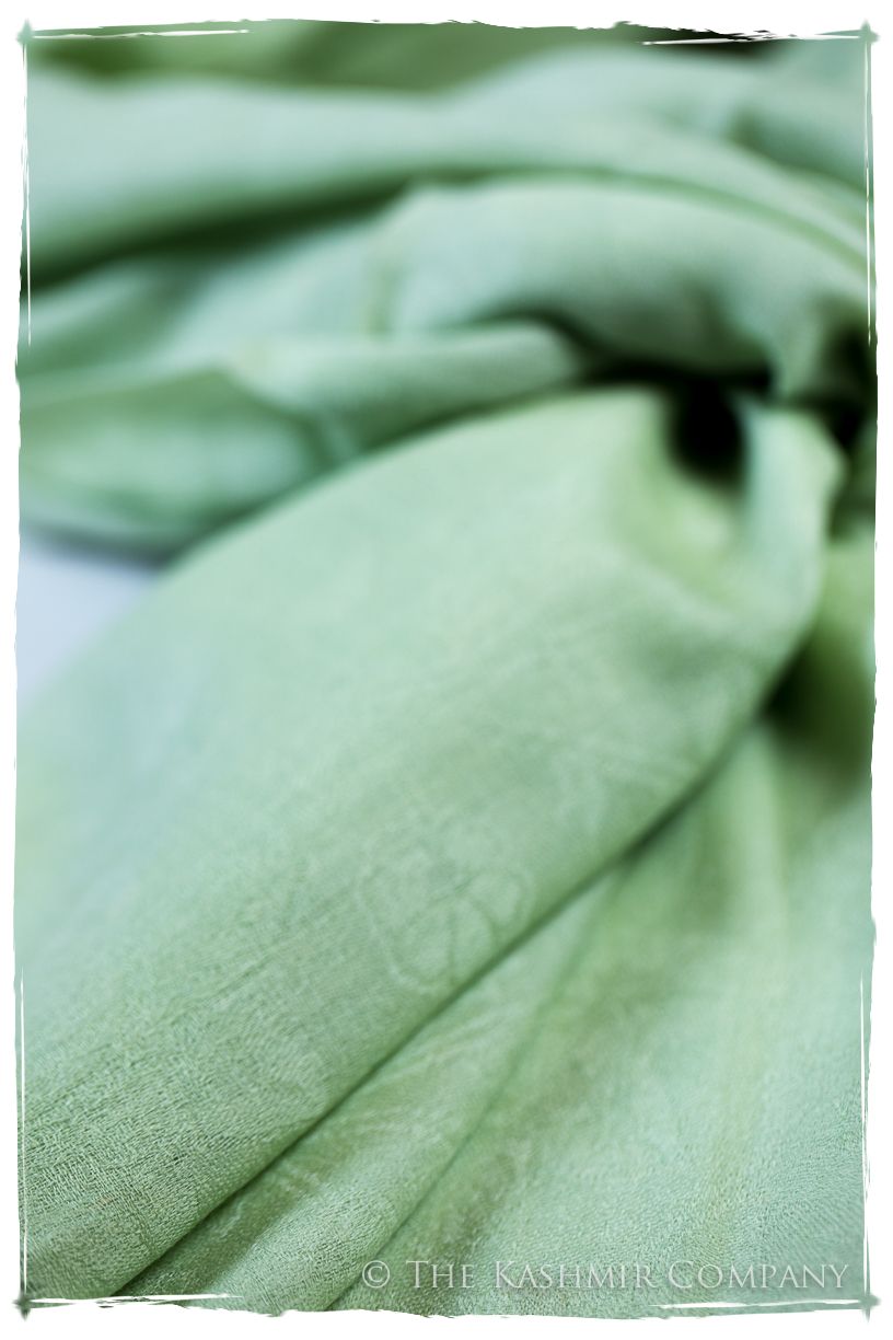 Nile Mist Paisley Kashmir Wool Scarf