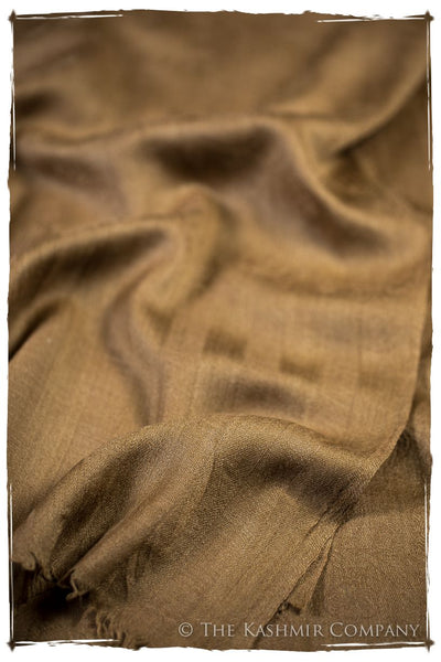 Cuban Sand Paisley Kashmir Wool Scarf