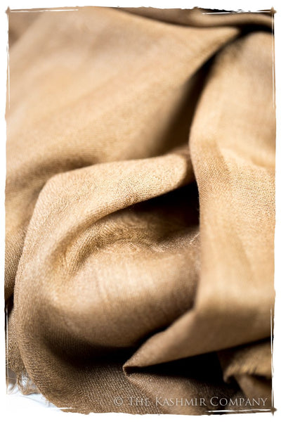 Cuban Sand Paisley Kashmir Wool Scarf