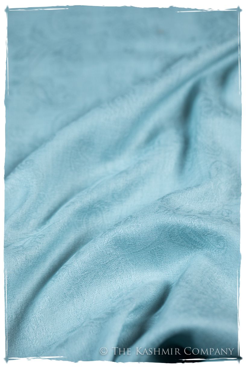 Ballad Bleu Paisley Kashmir Wool Scarf