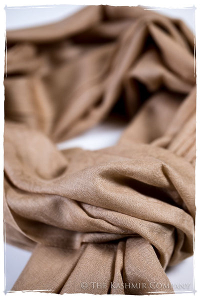 Arabian Sandstorm Paisley Kashmir Wool Scarf