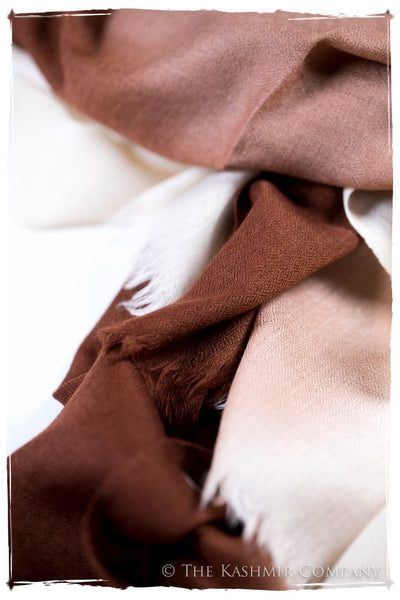 Sierra Harmonieuse Kashmir Wool Scarf