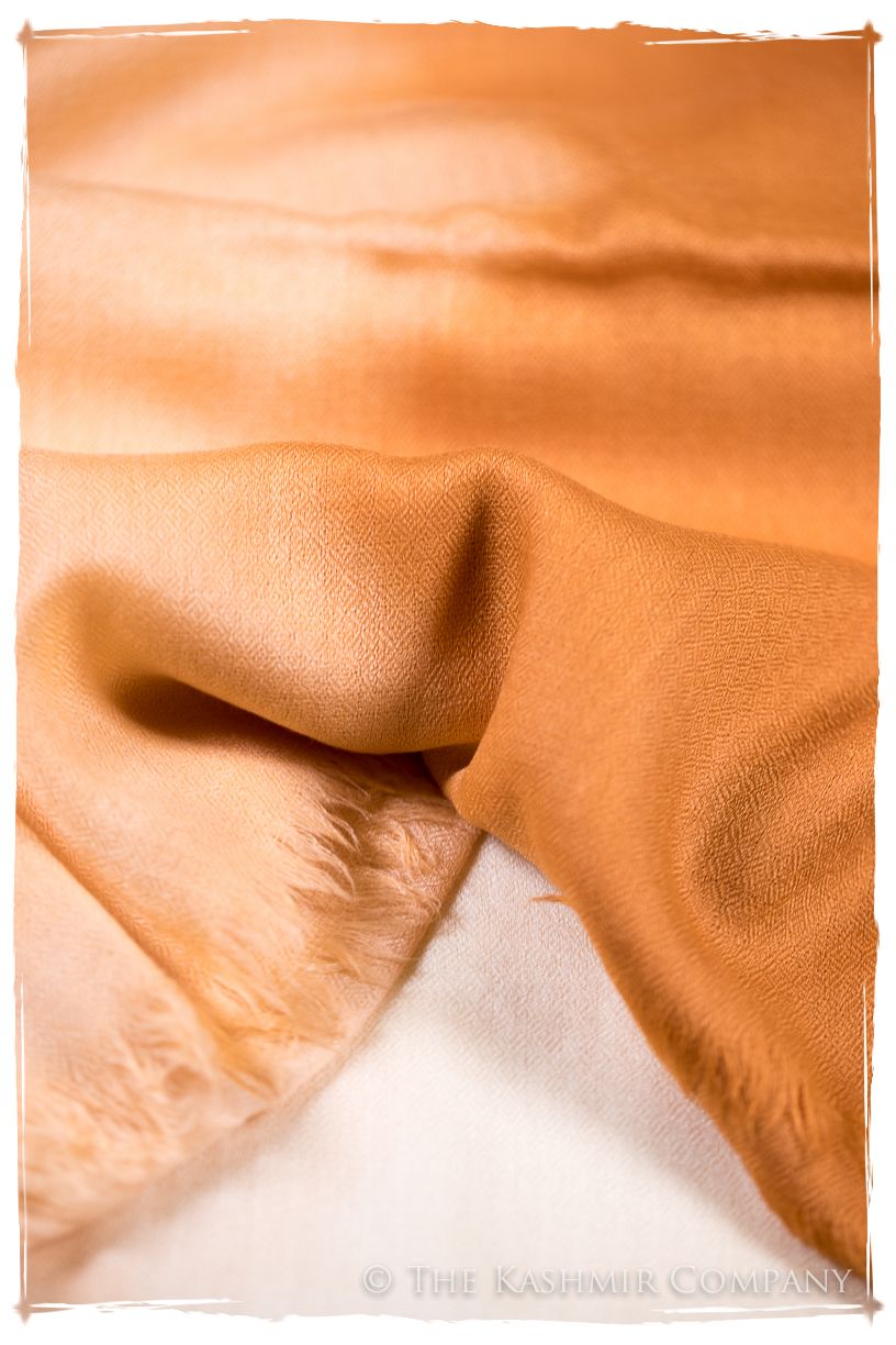Sandstone Harmonieuse Kashmir Wool Scarf