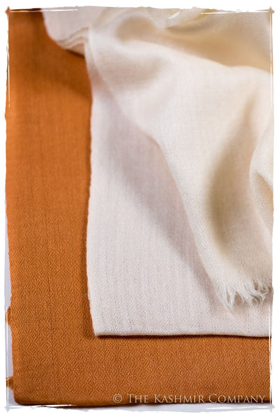 Sandstone Harmonieuse Kashmir Wool Scarf