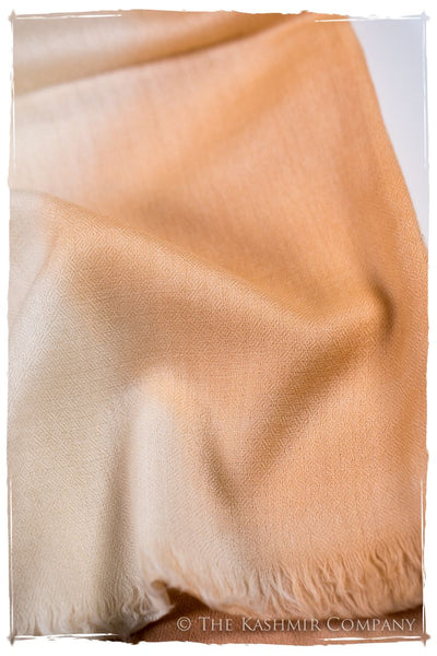 Sandstone Harmonieuse Kashmir Wool Scarf