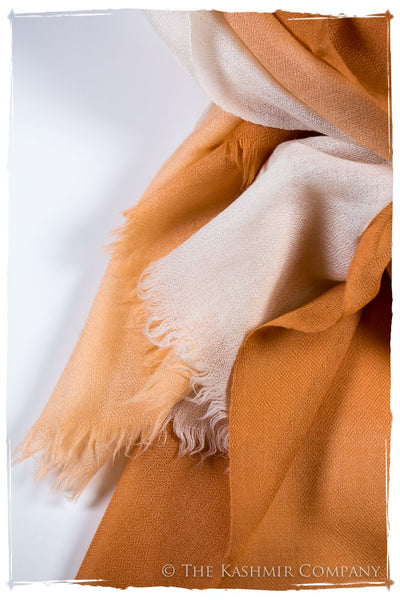 Sandstone Harmonieuse Kashmir Wool Scarf