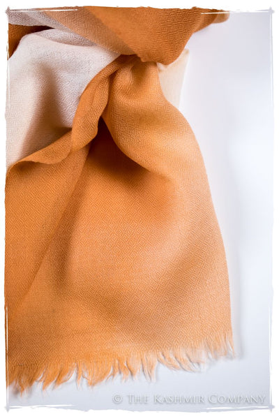 Sandstone Harmonieuse Kashmir Wool Scarf