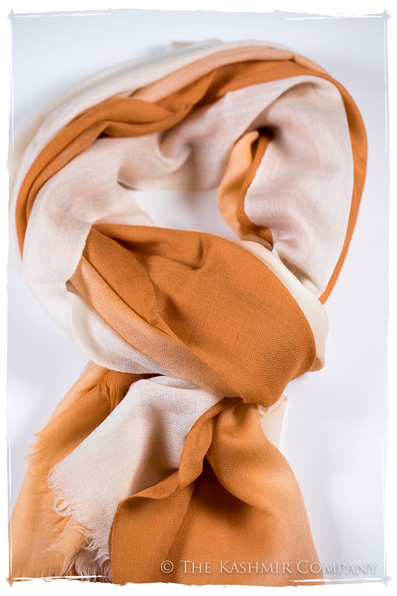 Sandstone Harmonieuse Kashmir Wool Scarf
