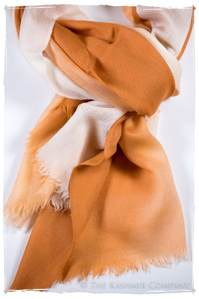 Sandstone Harmonieuse Kashmir Wool Scarf