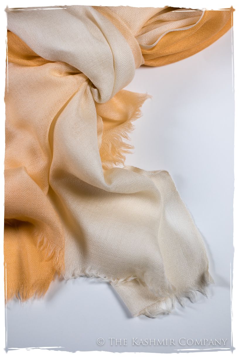 Artisan Glow Harmonieuse Kashmir Wool Scarf