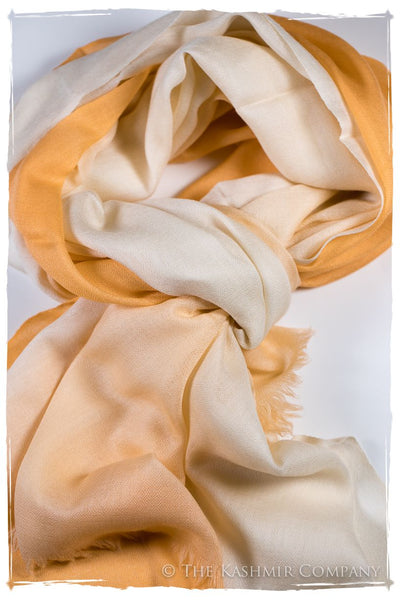 Artisan Glow Harmonieuse Kashmir Wool Scarf