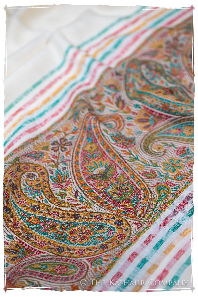 Evangelista Frontière Ivory Kashmir Wool Scarf