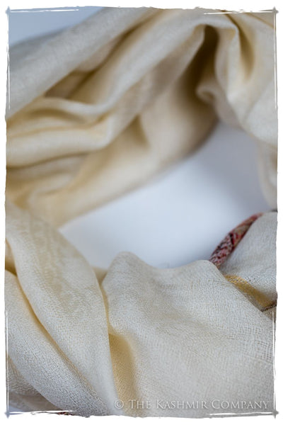 Isabella Frontière Ivory Kashmir Wool Scarf