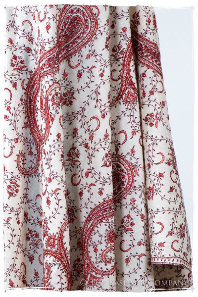 Auroretté Blaisé de'Laine Sozni Paisley Orient Shawl