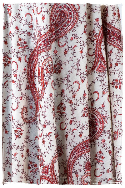 Auroretté Blaisé de'Laine Sozni Paisley Orient Shawl