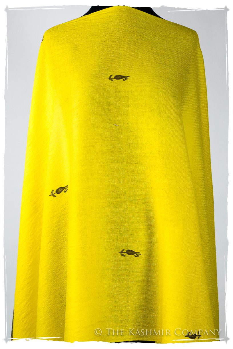 Yolanthe Frontières Paisley Gift Shawl