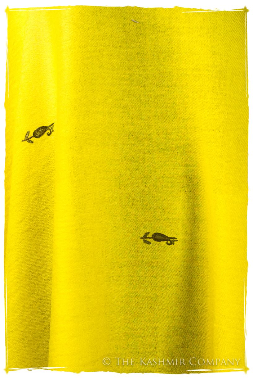 Solange Frontières Paisley Gift Shawl