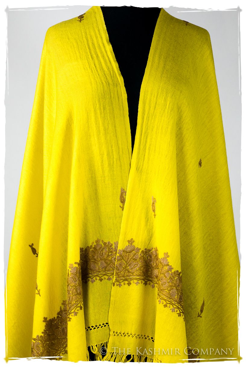 Solange Frontières Paisley Gift Shawl