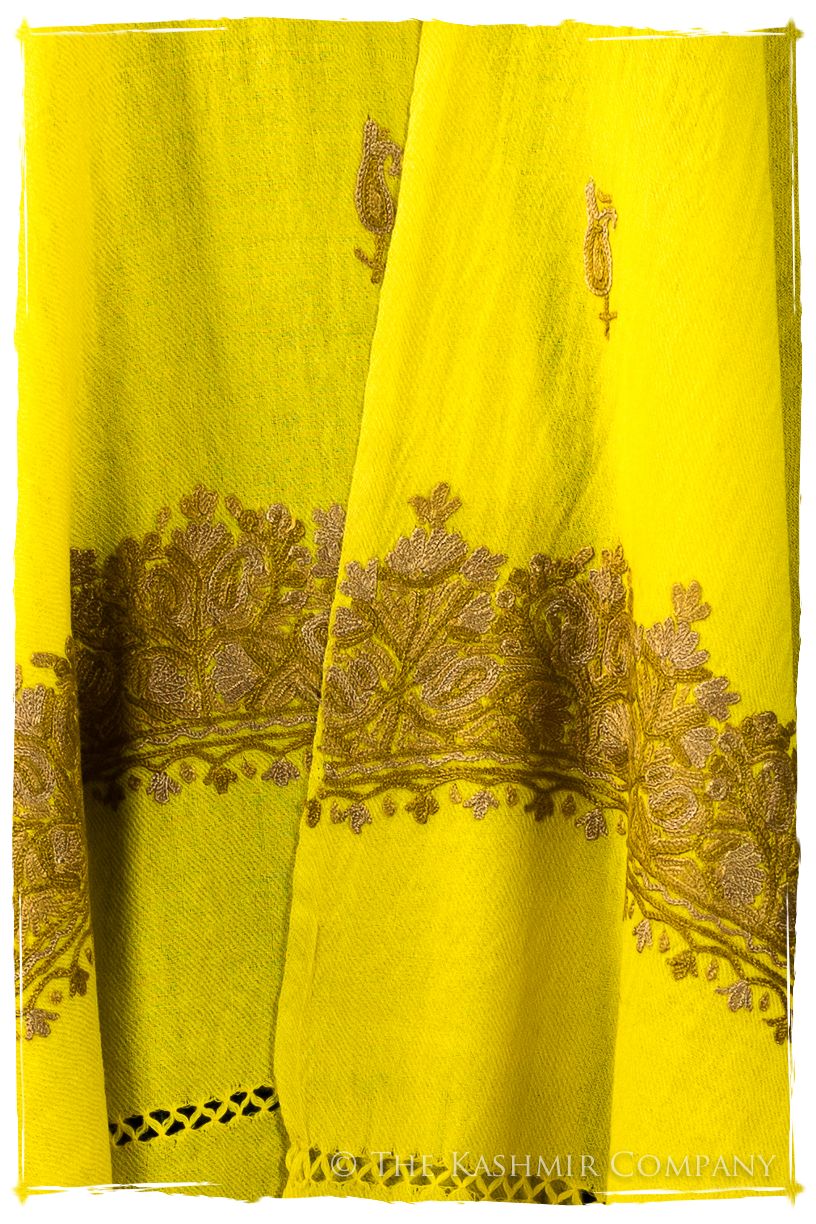 Solange Frontières Paisley Gift Shawl