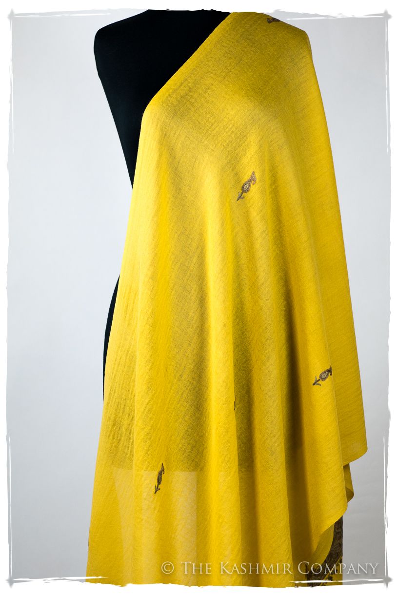 Salomé Frontières Paisley Gift Shawl