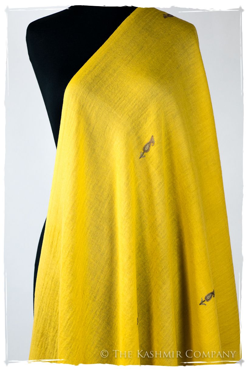 Salomé Frontières Paisley Gift Shawl
