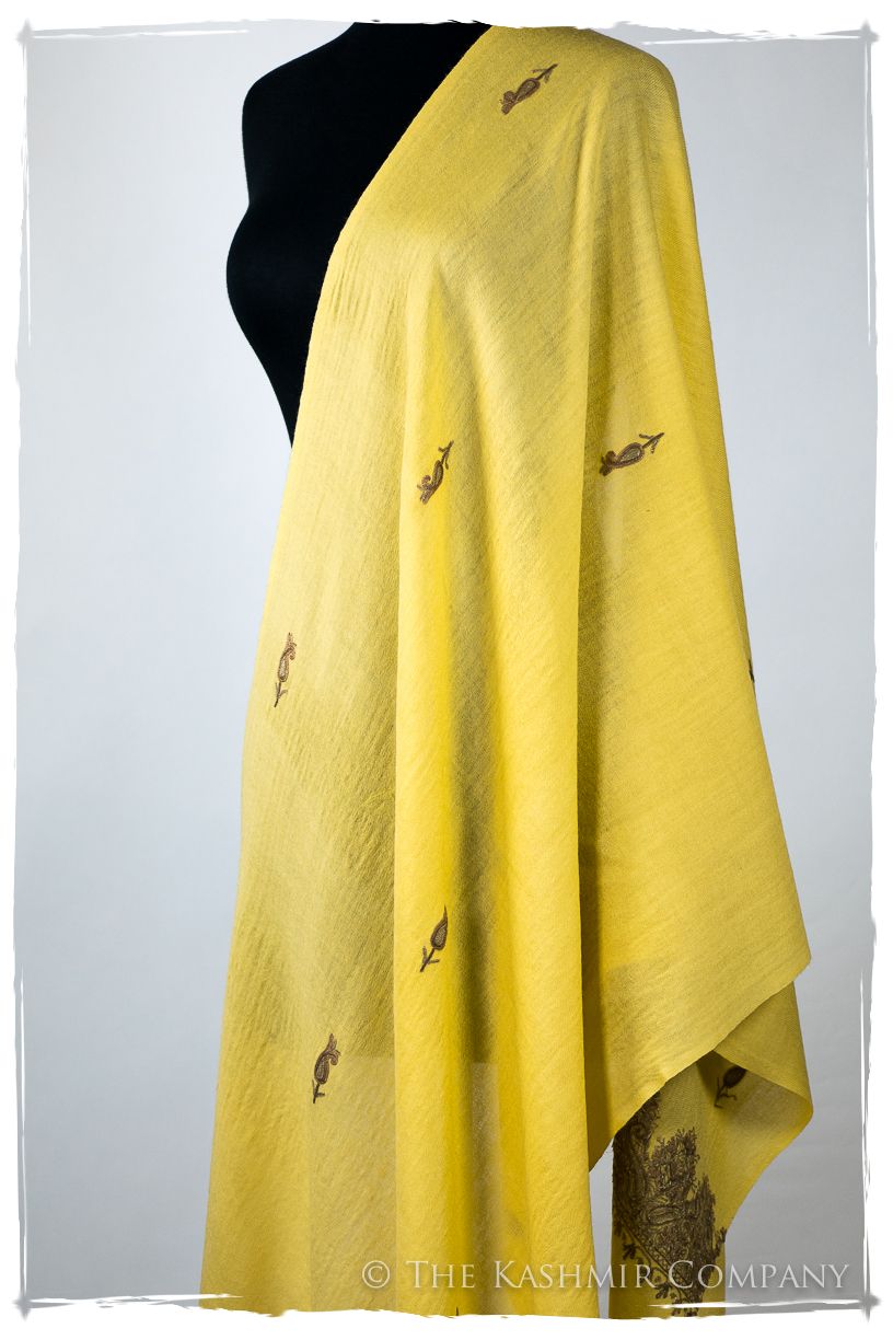 Rochelle Frontières Paisley Gift Shawl