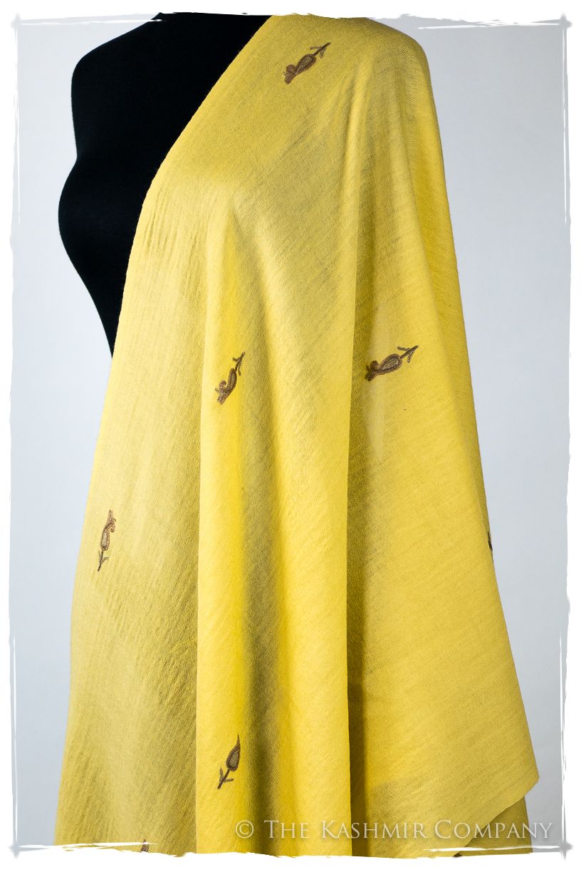 Rochelle Frontières Paisley Gift Shawl