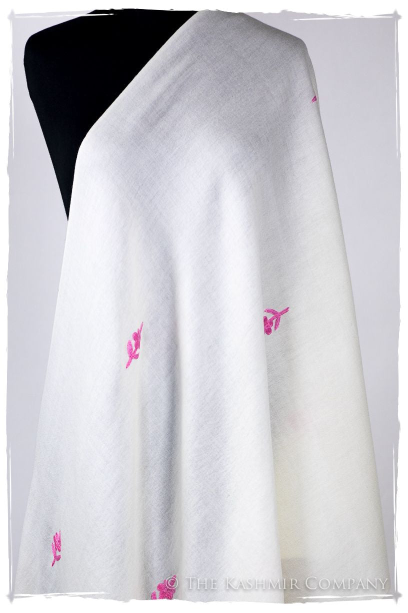 Mercedes Frontières Paisley Gift Shawl
