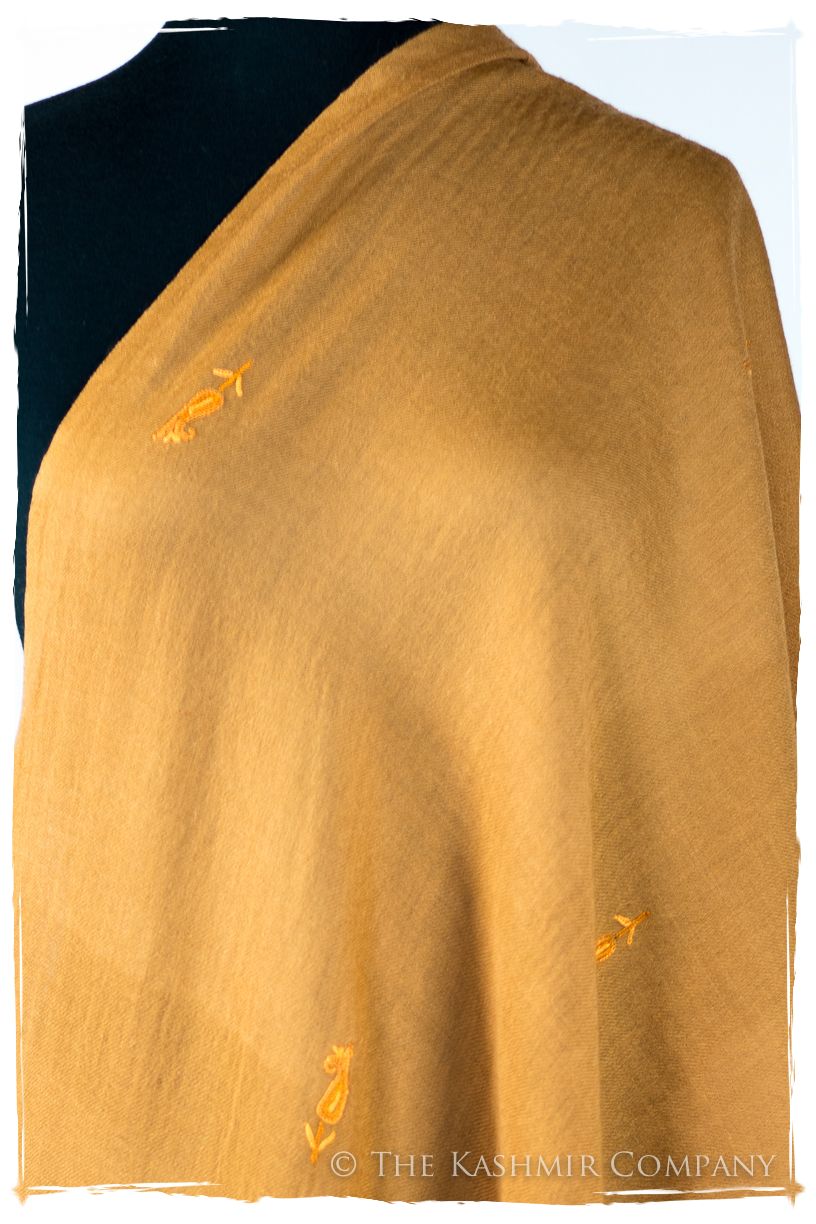 Nazaret Frontières Paisley Gift Shawl