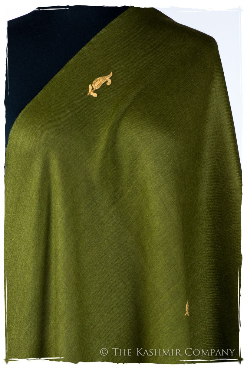 Pierina Frontières Paisley Gift Shawl