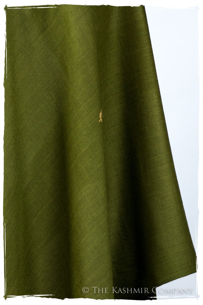 Pierina Frontières Paisley Gift Shawl